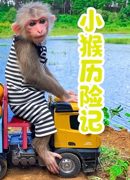 小猴历险记